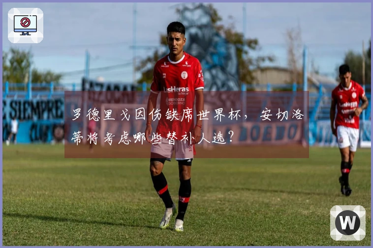 罗德里戈因伤缺席世界杯，安切洛蒂将考虑哪些替补人选？
